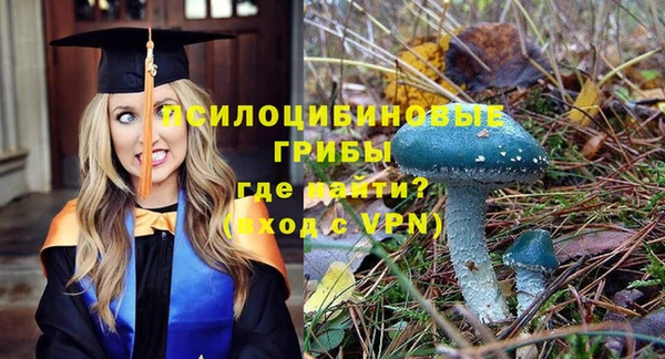 винт Медногорск